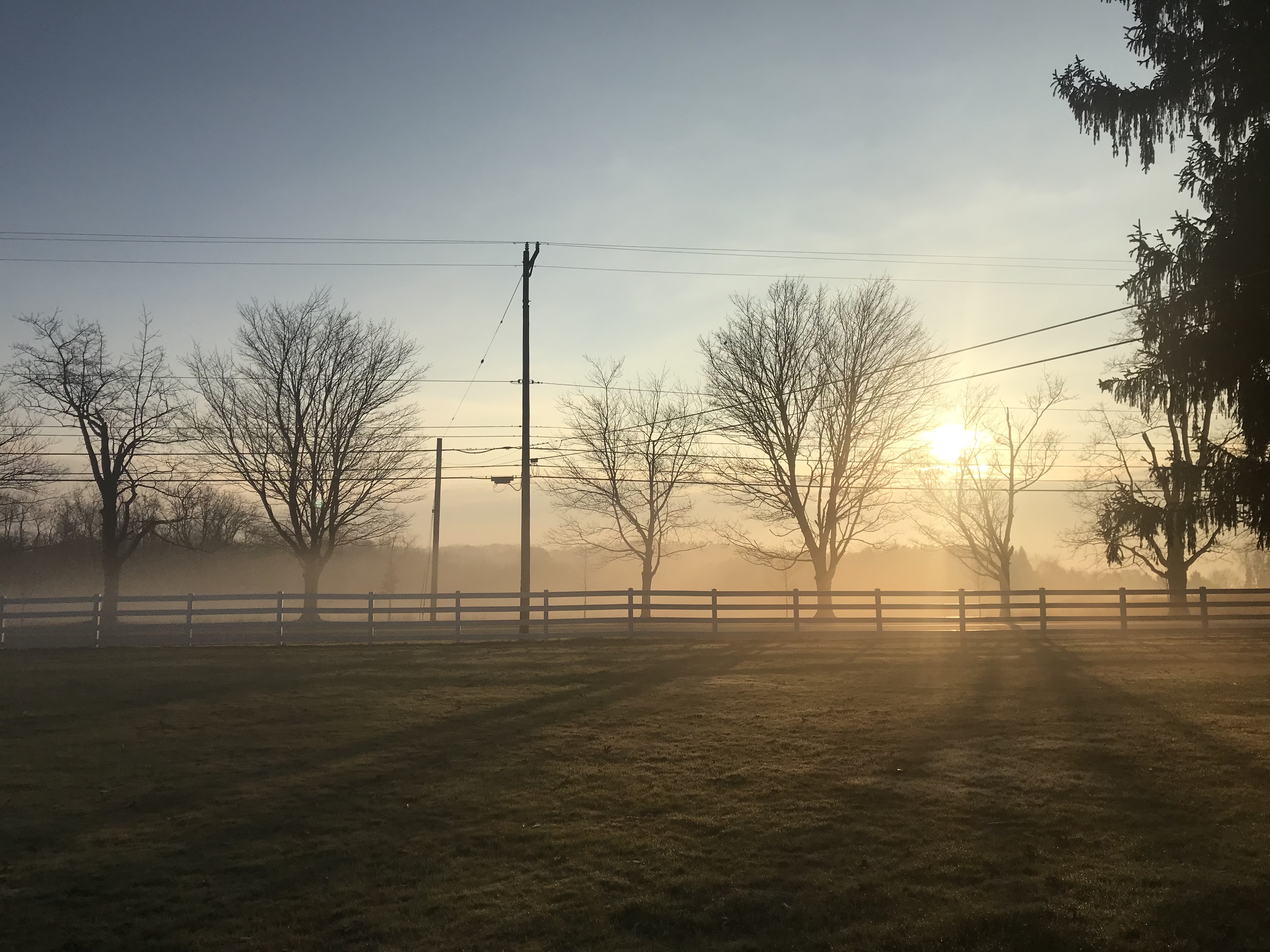 the sun rises over misty fields at a farm